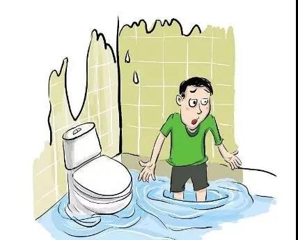 裝修，為什么選擇三葉石裝飾？